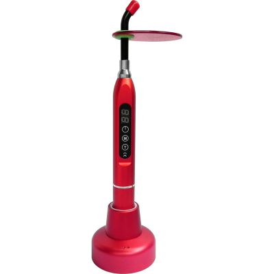 How to use a Dental Scaler